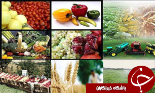 عرضه محصولات کشاورزی به قیمت تضمینی در بورس کالا نیازمند حذف واسطه‌ها است