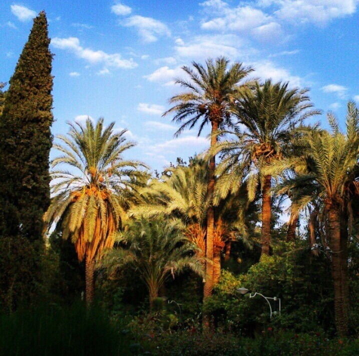 تصاویری زیبا از گوشه و کنار کشور عزیزمان [۱۹] + عکس