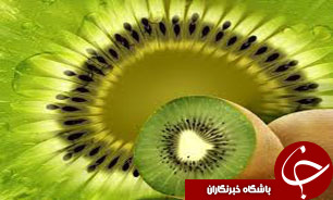 برداشت کيوي درگيلان به پايان رسيد