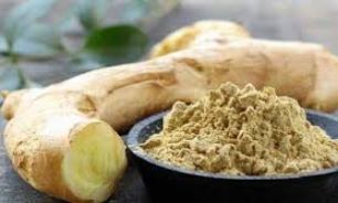 درمان درد های شدید با گیاهی فوق العاده