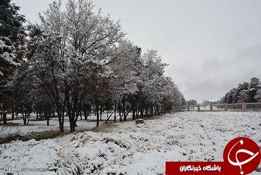بارش برف و باران در ۱۹ استان کشور/محصولات آماده سریعا برداشت شوند