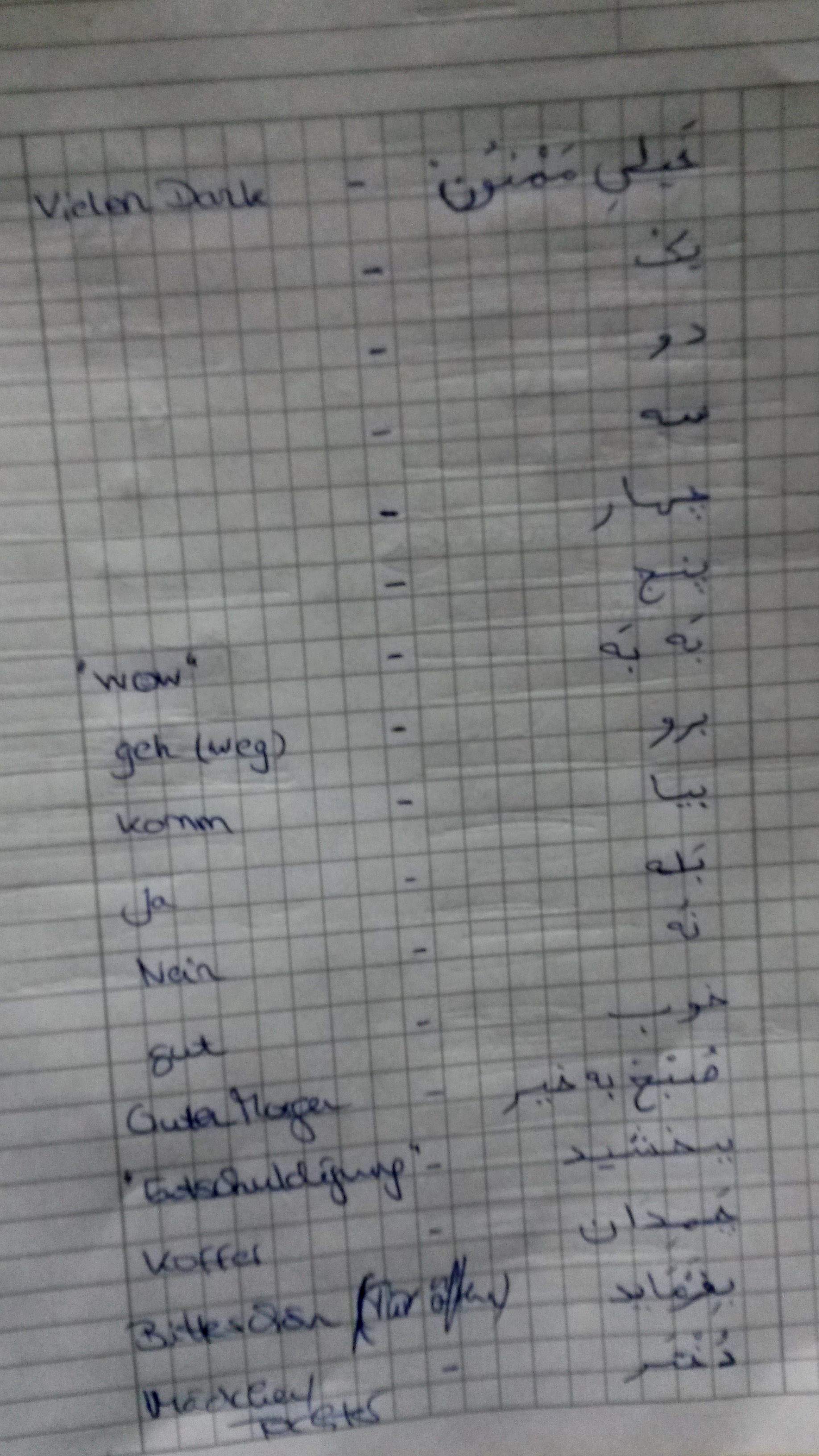 یک حدیث آخرالزمانی از زبان یک شیعه آلمانی /