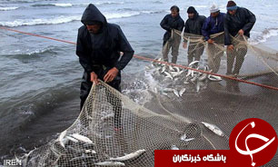 آشنایی با مرکز تحقیقات 