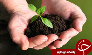 آشنایی با برند &laquo;ارگانیک&raquo; ایران
