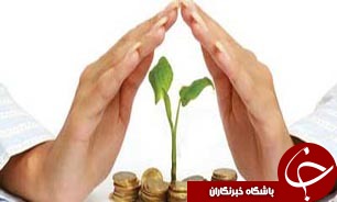 نقش &laquo;اعتبارات خرد&raquo; در توسعه &laquo;تعاونی&raquo;&zwnj;ها