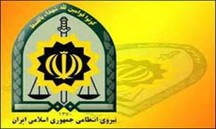 دزدان کبوتر در دام  پلیس
