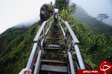 پلکان هایکو مسیری رویایی در هاویی+تصاویر