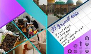دولت درحمایت از "زنان" سرپرست خانوار از همه ابزارها استفاده می کند