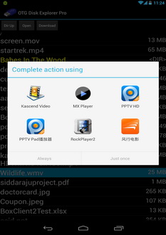 OTG Disk Explorer Pro (در حال کار)