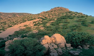 برج هزار ساله قلعه یزد گرد سوم کجاست؟