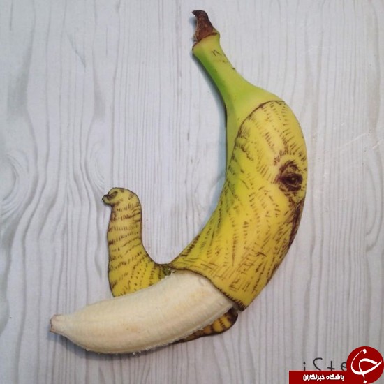 وقتی موز تبدیل به هنر می شود +عکس