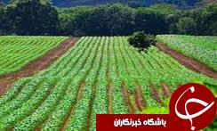 کسب رتبه نخست کشوری در تولید ادوات کشاورزی خراسان رضوی کسب رتبه نخست کشوری در تولید ادوات کشاورزی خراسان رضوی