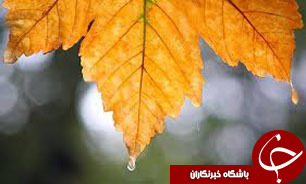 بارش‌ها در کشور 29 درصد کاهش یافت