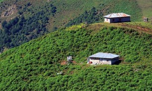 نقش مهم آب در افزایش تولیدات و محصولات کشاورزی شهرستان کوثر