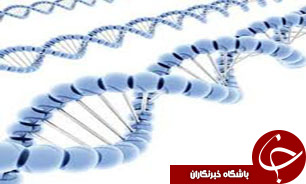 ژن‌ها تعیین کننده‌ی خصوصیت پوست فرد هستند