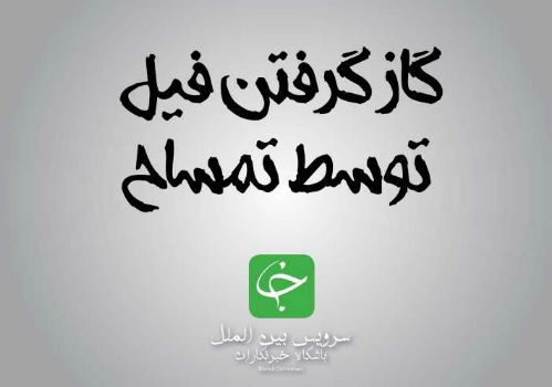 گاز گرفتن فیل توسط تمساح