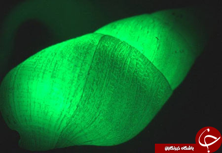 مکان های منحصر به فرد که در شب دگرگون می شوند + تصاویر