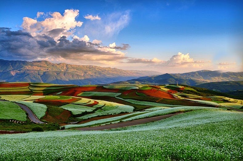 مزارع سرخ رنگ دونگ چوان + تصاویر
