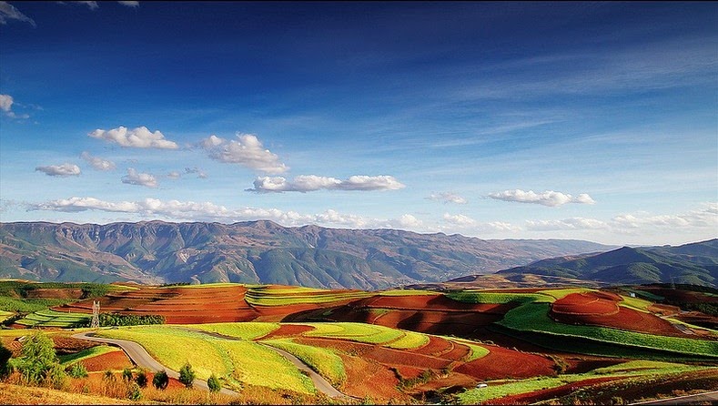 مزارع سرخ رنگ دونگ چوان + تصاویر