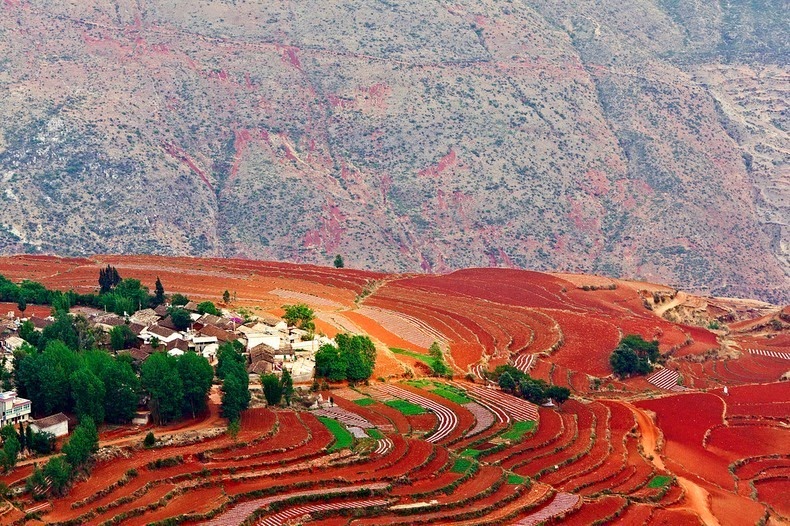 مزارع سرخ رنگ دونگ چوان + تصاویر
