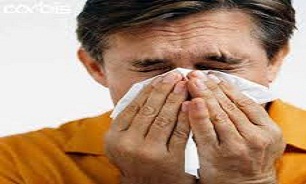آنفلوانزای خوکی در هند 407 قربانی گرفت