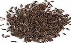 مصرف زیره سبز و برطرف شدن بوی بد دهان