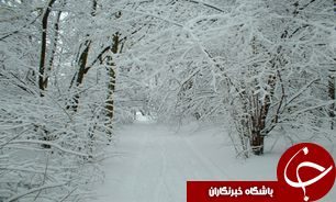 آغاز نزول رحمت الهی در  ادربیل