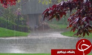 بارش پراکنده در شمال شرق و شرق کشور / تهران، قسمتی ابری و 12 درجه