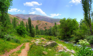 دیدن این مناظر سیستم ایمنی بدنتان را تقویت می‌کند