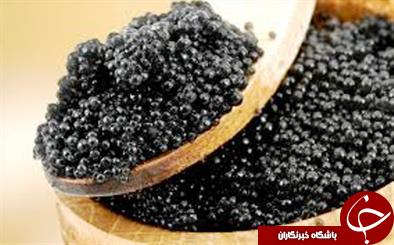 مروارید سیاه از خزر کوچ می کند/لطمه ژله های تقلبی به برند خاویار