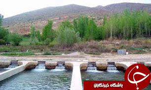 تکثیر ۸ میلیون قطعه بچه ماهی در میناب