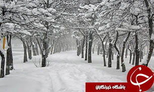 بارش برف استان کردستان را سفید پوش کرد