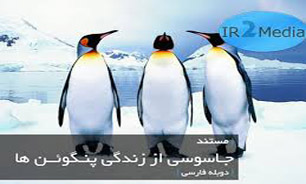 جاسوسی در قلمرو پنگوئن‌ها