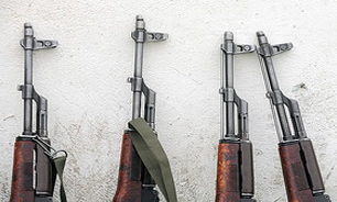 کشف 65 قبضه اسلحه توسط نیروهای یگان حفاظت محیط زیست فارس