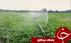 قزوین از مراکز فعال کشور در تحقیقات کشاورزی است