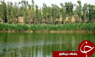 رونق گردشگری تالاب‌های گیلان در زمستان