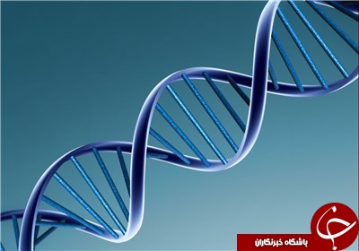 یک آمار شگفت انگیز درباره DNA
