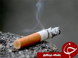 جریمه سنگین مرد سنگاپوری برای یک ته سیگار