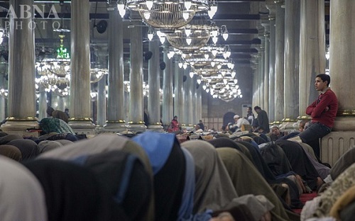 مراسم گرامیداشت سالگرد ورود سر مبارک امام حسین(ع) به مصر + تصاویر
