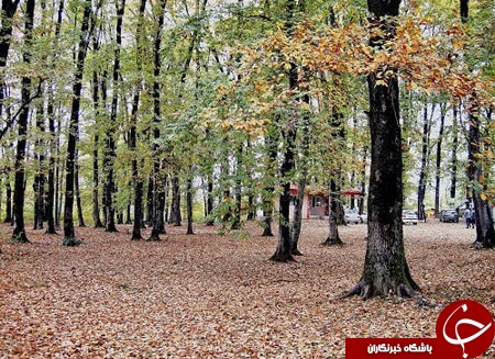 سفر به لاهیجان، عروس گیلان+تصاویر