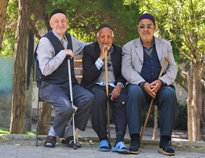 بازنشستگانی که رنگ رفاه را نمی بینند /با پول بازنشستگی فقط می توان نان خرید!