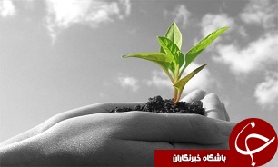 اهمیتی به بخش کشاورزی داده نمی شود/نظارتی در واردات نیست