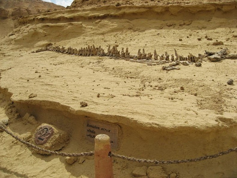 دره وال ها در مصر + تصاویر
