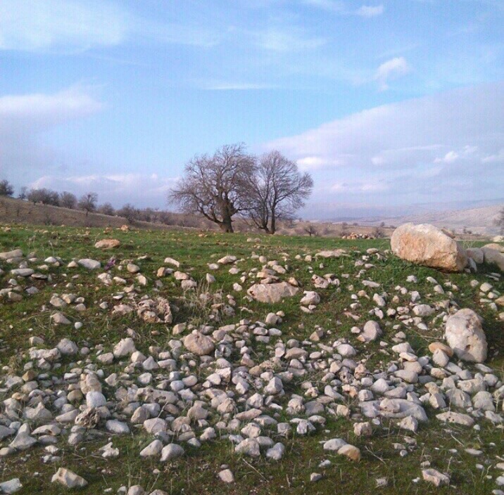 تصاویری زیبا از جاذبه&zwnj;های گردشگری ایران که تا به حال ندیده&zwnj;اید + عکس