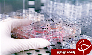 ایجاد مرکز پژوهشی مشترک بین دانشگاه لیل فرانسه و دانشگاه رازی