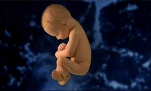 این افراد قبل از بارداری مشاوره شوند