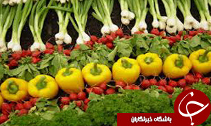 آغاز به کارجشنواره محصولات ارگانیک از 11 بهمن ماه/ حضور 100غرفه در جشنواره محصولات ارگانیک