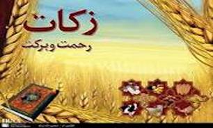 جمع آوری زکات در کشور 480 میلیارد تومان