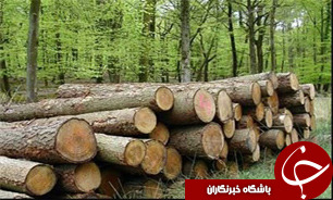 افزایش 10 درصدی صادرات محصولا ت چوبی چینی