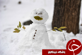 بارش برف در 20 استان کشور